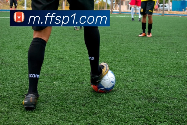 火狐体育APP 封面图